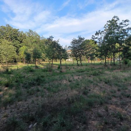 Location Saisonniere Curiste Apartment Montesquieu  Bagian luar foto