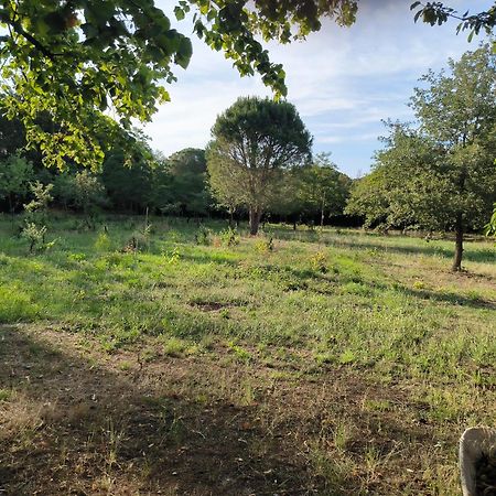 Location Saisonniere Curiste Apartment Montesquieu  Bagian luar foto