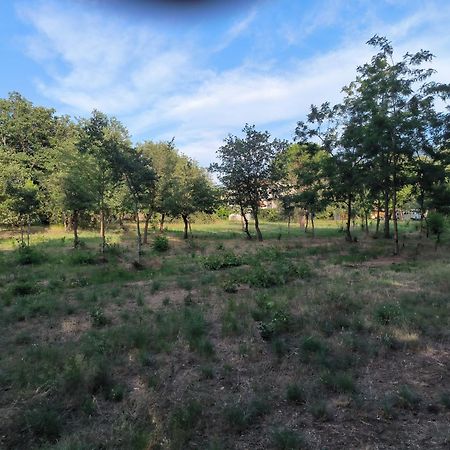 Location Saisonniere Curiste Apartment Montesquieu  Bagian luar foto