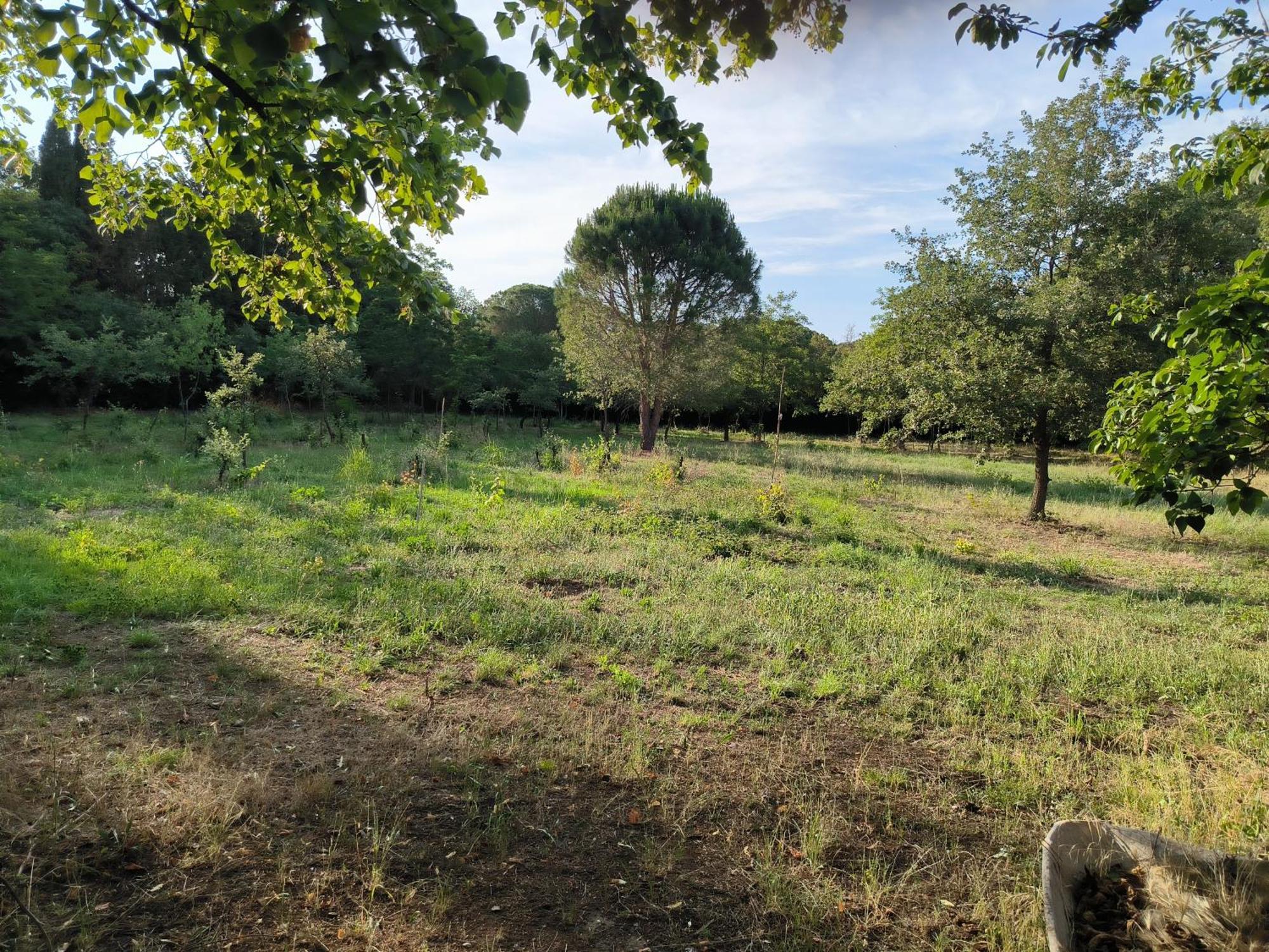Location Saisonniere Curiste Apartment Montesquieu  Bagian luar foto