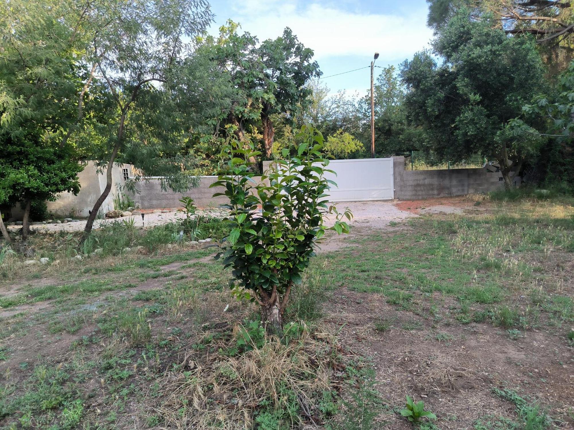 Location Saisonniere Curiste Apartment Montesquieu  Bagian luar foto