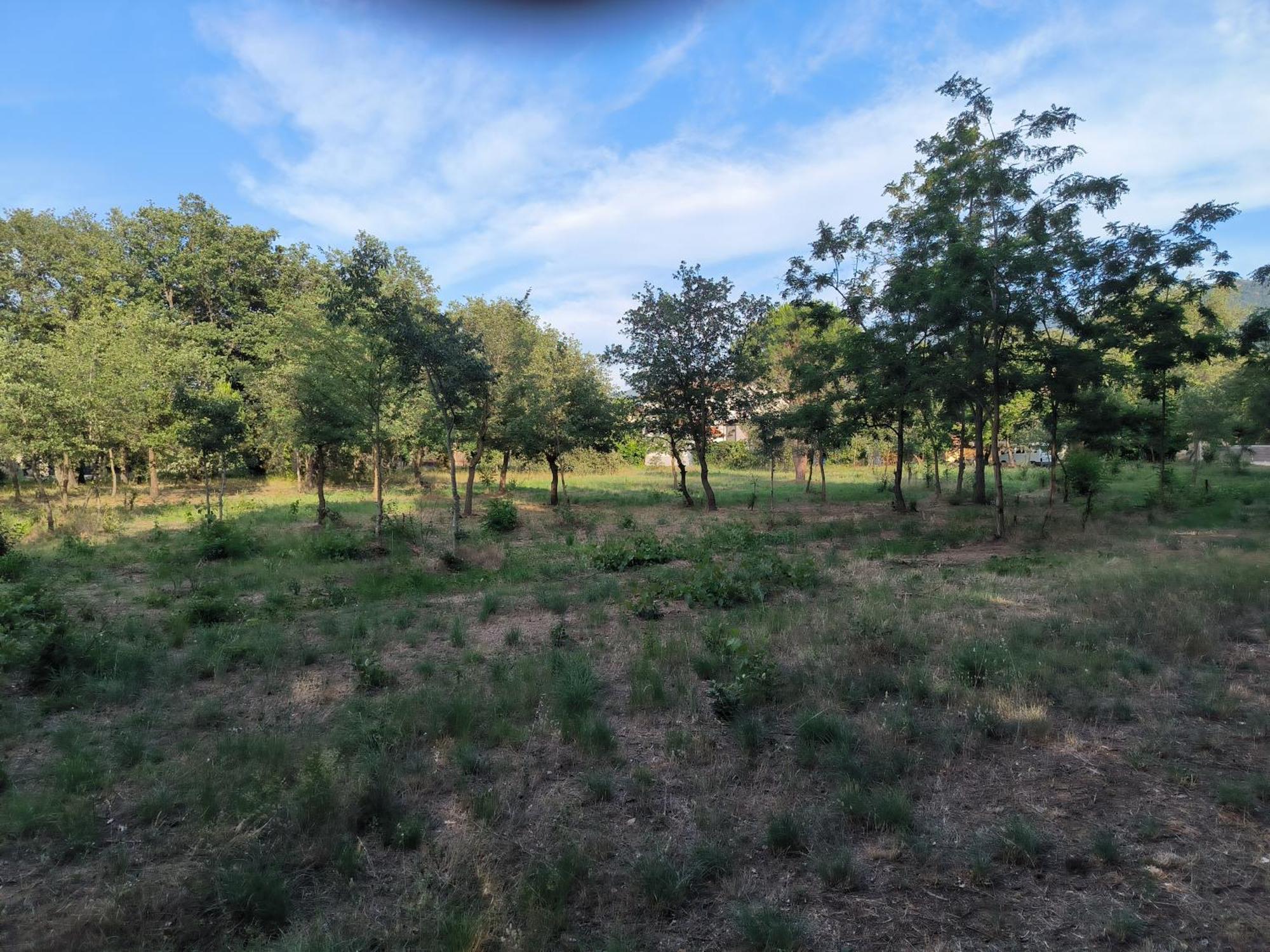 Location Saisonniere Curiste Apartment Montesquieu  Bagian luar foto